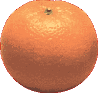 Il caff� e l'arancia