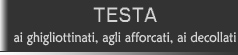 Testa