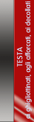 Testa
